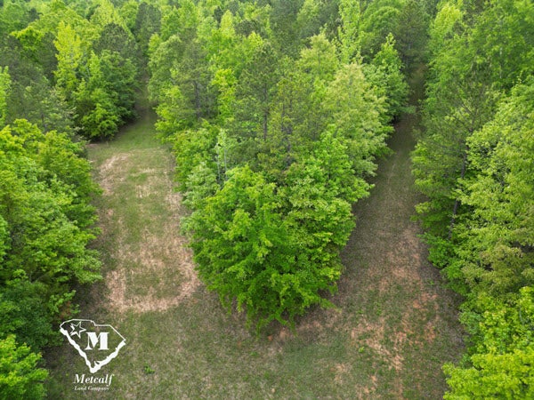 Land for Sale in Abbeville County South Carolina