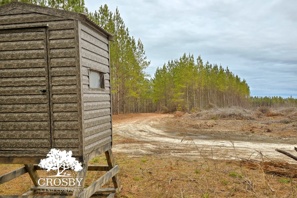 558 Acres for Sale in Screven County Georgia