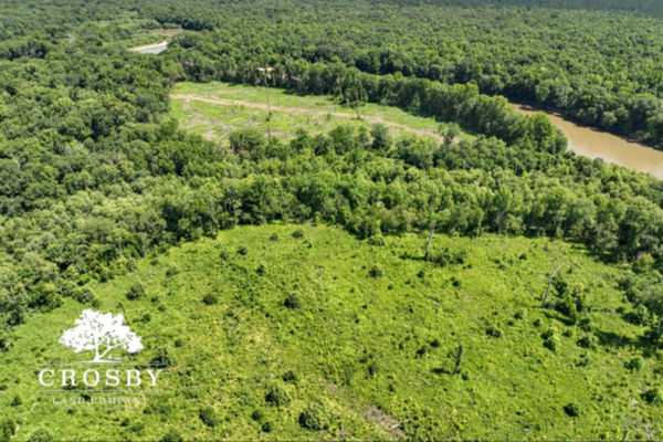 447 Acres for Sale in Wheeler County Georgia