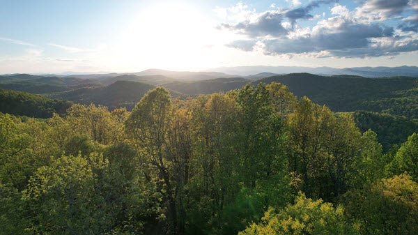 Reedy Land Company Zirconia North Carolina
