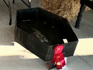 2023 Ag Mechanics Contest Small Metal Reserve Champion – Luke Rosser, Newton College & Career Academy FFA – Fire Pit