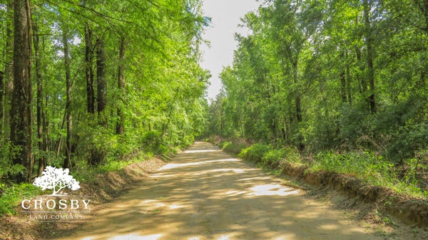 Recreational Land for Sale in Aiken County South Carolina
