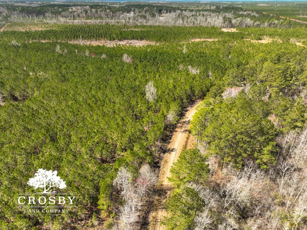 Recreational Land for Sale in Berkeley County South Carolina