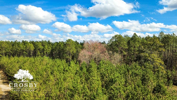 Recreational Land for Sale in Long County Georgia