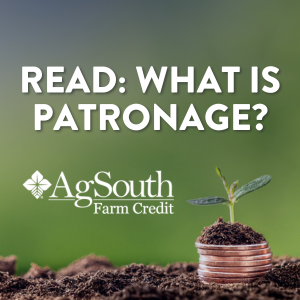 Read: What is Patronage?