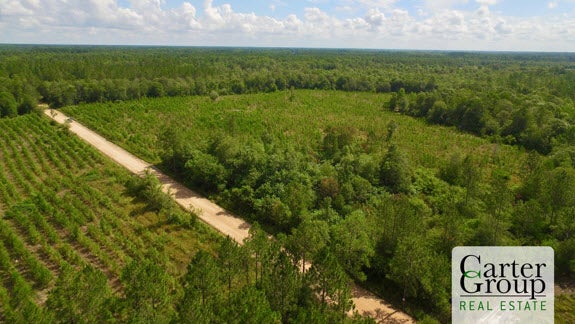 Wooded tract of land with a dirt road through it