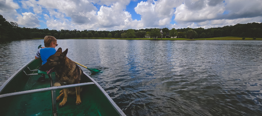 AgSouth customers use their patronage in various ways like paying for a family vacation.