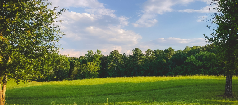 AgSouth customers use their patronage in various ways like paying for their land loan.