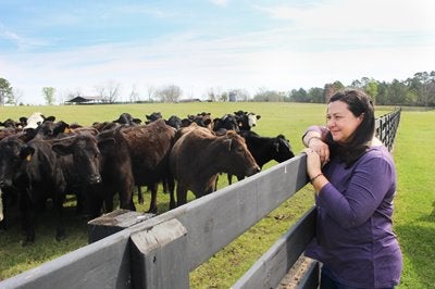 Donna Collins leans against a fence looking at a herd of cows