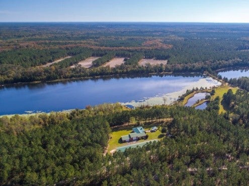 Combahee River Preserve aerial view
