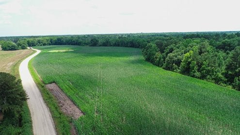 Green crop field by a lonely highway