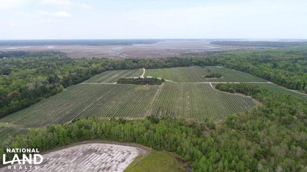 Aerial view of farmland
