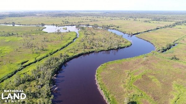 Green land divided by a wide creek