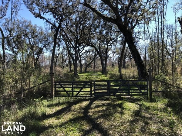 Gate leading into a forested tract of land