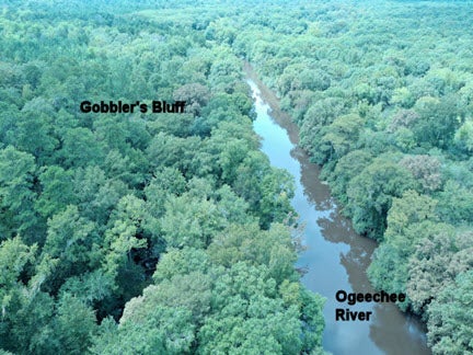 Aerial view of river