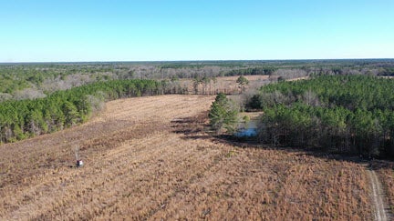 Aerial view of fields