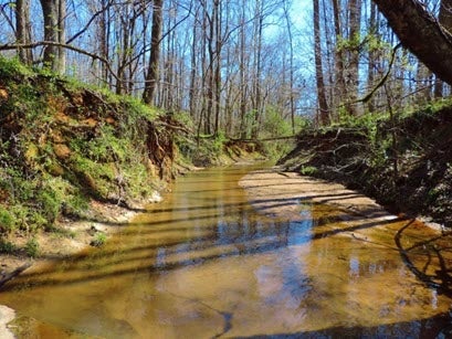 Slow-moving creek