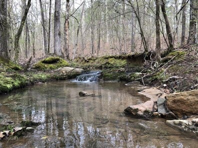 Slow-moving creek