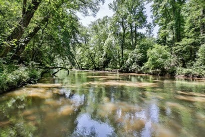 View of murky river