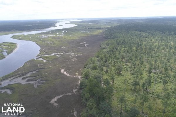 Aerial view of Dean Island marshland