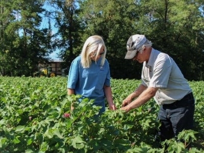 Man and woman working in fields