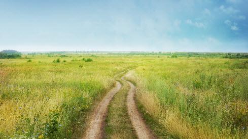 Dirt road cutting through grassy land