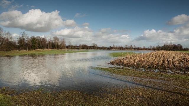 Flooded farmland