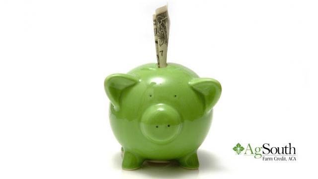 Green piggy bank with dollar bill in it
