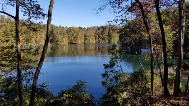 View of lake through the trees