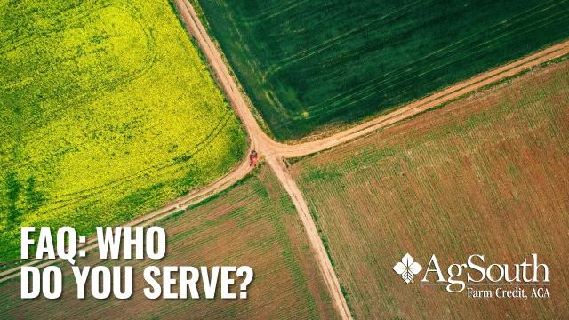 Aerial view of crop fields