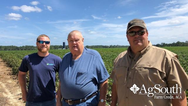 Men in a crop field