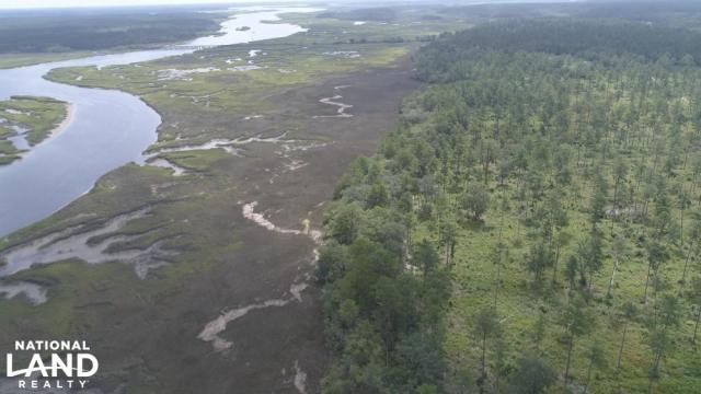 Aerial view of Dean Island marshland