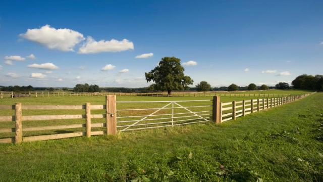 Fenced pasture with trees in the background