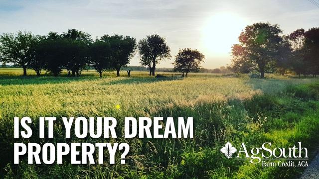A beautiful field with trees and a sunset
