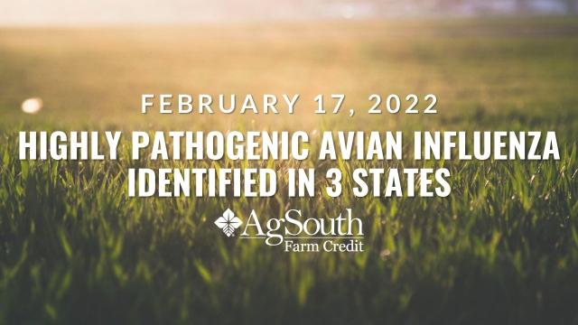 Highly Pathogenic Avian Influenza Identified in Three States February 17 AgSouth