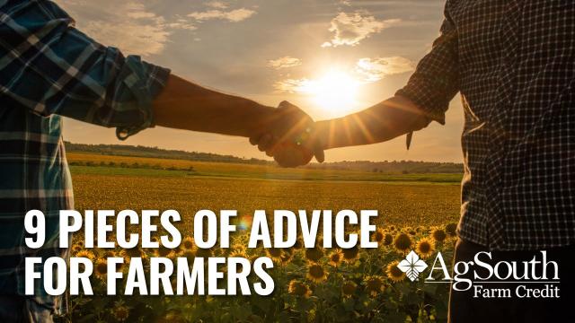 farmers shaking hands in sunflower field at sunset