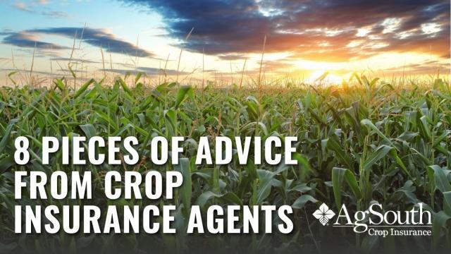 8 Pieces of Advice for Farmers from Local Crop Insurance Agents