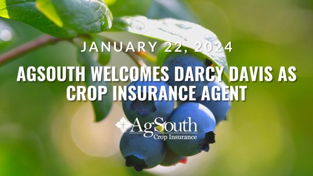 AgSouth Farm Credit Crop Insurance Manager Sandra Meeks has announced that she is excited to have Darcy Davis back at AgSouth as the newest Crop insurance Agent in the Blackshear, GA branch office.