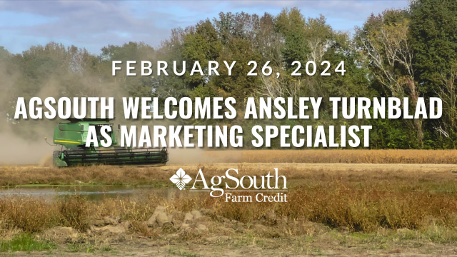 AgSouth Farm Credit Lending Marketing Manager Will Johnson has announced that he is excited to have Ansley Rast Turnblad as a Marketing Specialist providing marketing support for all of AgSouth’s South Carolina branches.