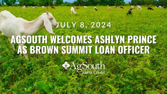 AgSouth Welcomes Ashlyn Prince as Brown Summit Loan Officer