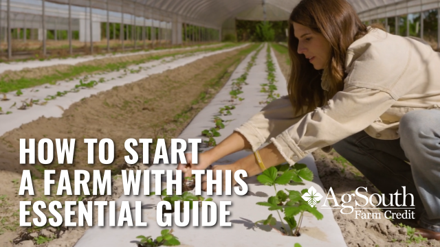 So you want to start a farm business? Maybe you want to turn your side hobby in to a second career. Or maybe you grew up on your grandparents farm and feel a pull to go back to your roots. Whatever your motivation to start a farm or agritourism business, you might not know where to start. This guide can help.