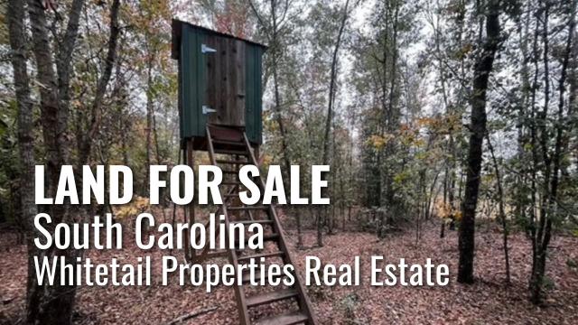 Land for Sale: Whitetail Properties Real Estate