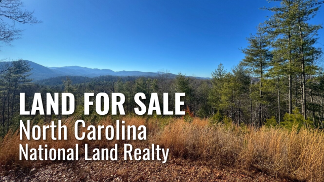 Land for Sale in North Carolina from National Land Realty. Includes multiple recreational hunting tracts and potential land sites, 