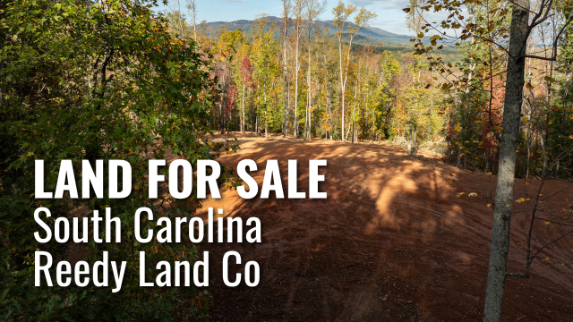 Land for Sale by Reedy Land Co. Partner with AgSouth Farm Credit.