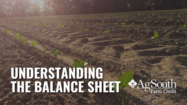 Understanding the Balance Sheet: A Key Tool for Farm Financial Management.