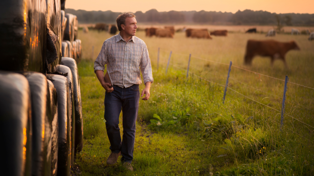 A farm income statement shows whether your operation is truly profitable by listing all farm income, farm expenses, gross margin, fixed costs, and net income for the year. 