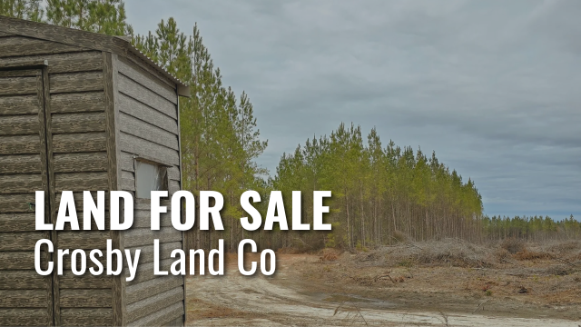This month we are partnering with Crosby Land Company to highlight five properties for sale in Georgia including prime recreational land properties.