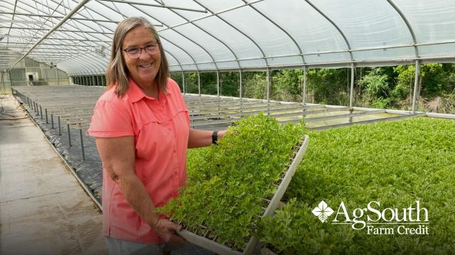 Female farmer standing in greenhouse 