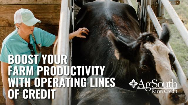 Boost Your Farm Productivity with Operating Lines of Credit