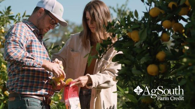 Fifth-generation farmers Jacob and Emily Nolan operate 1,700 acres of row crops on their family farm in Screven, Georgia. Jacob and Emily established Spring Fever Farms in 2005, building it from the ground up. They have since expanded the operation to include pecans, satsumas, strawberries and other commodities. 